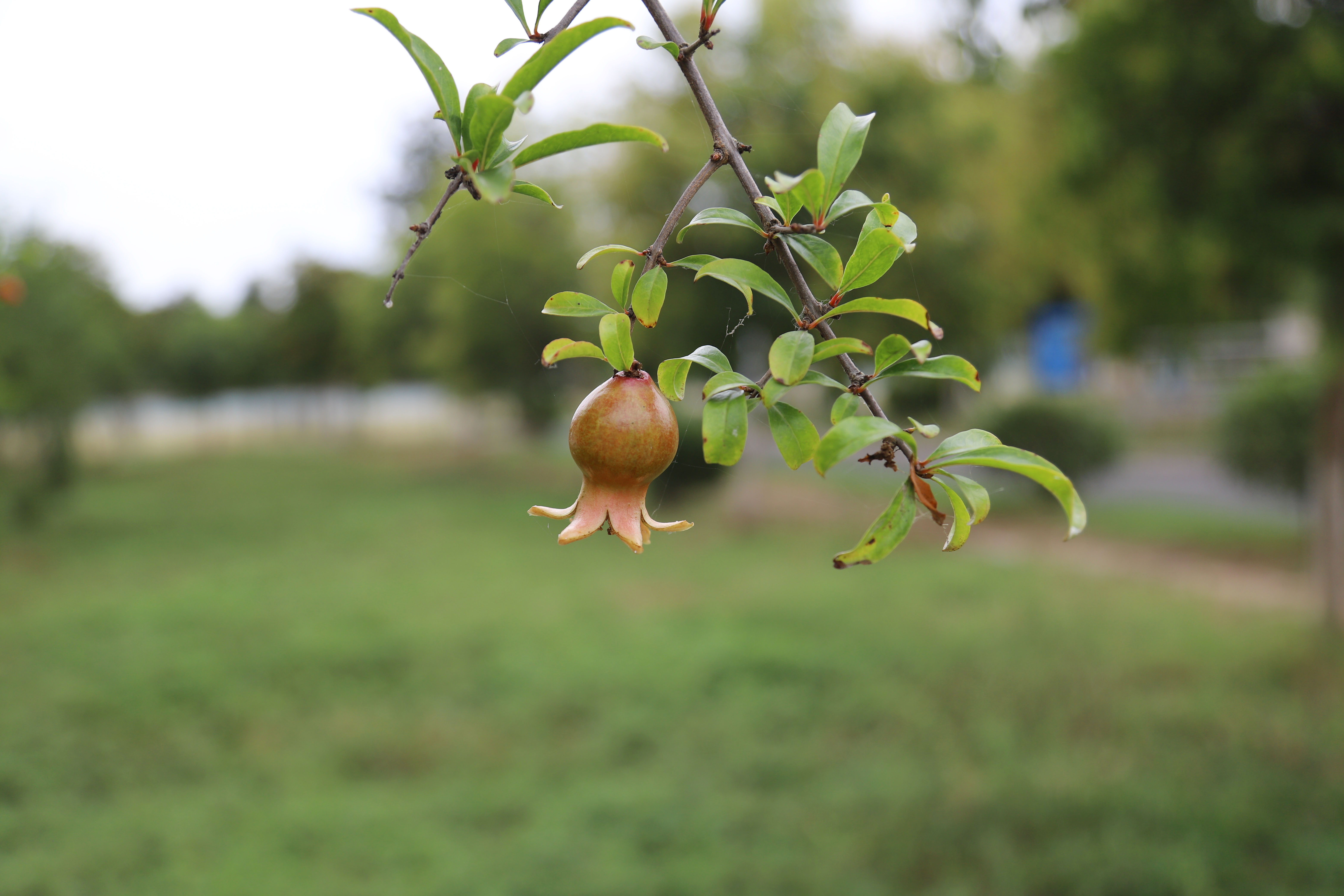 ������ʱ�������ǲ���(�й���)�ٷ���վ