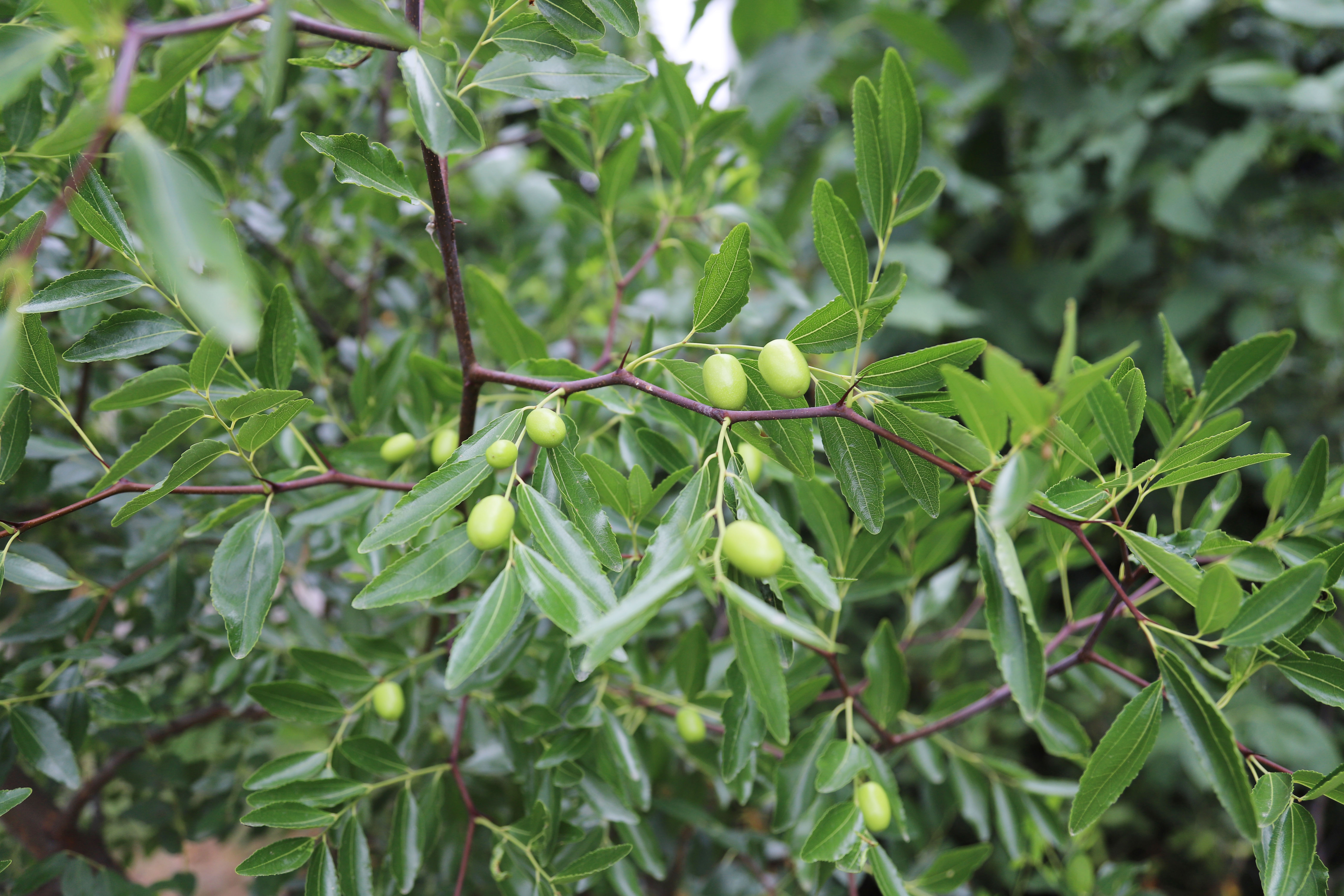 ������ʱ�������ǲ���(�й���)�ٷ���վ